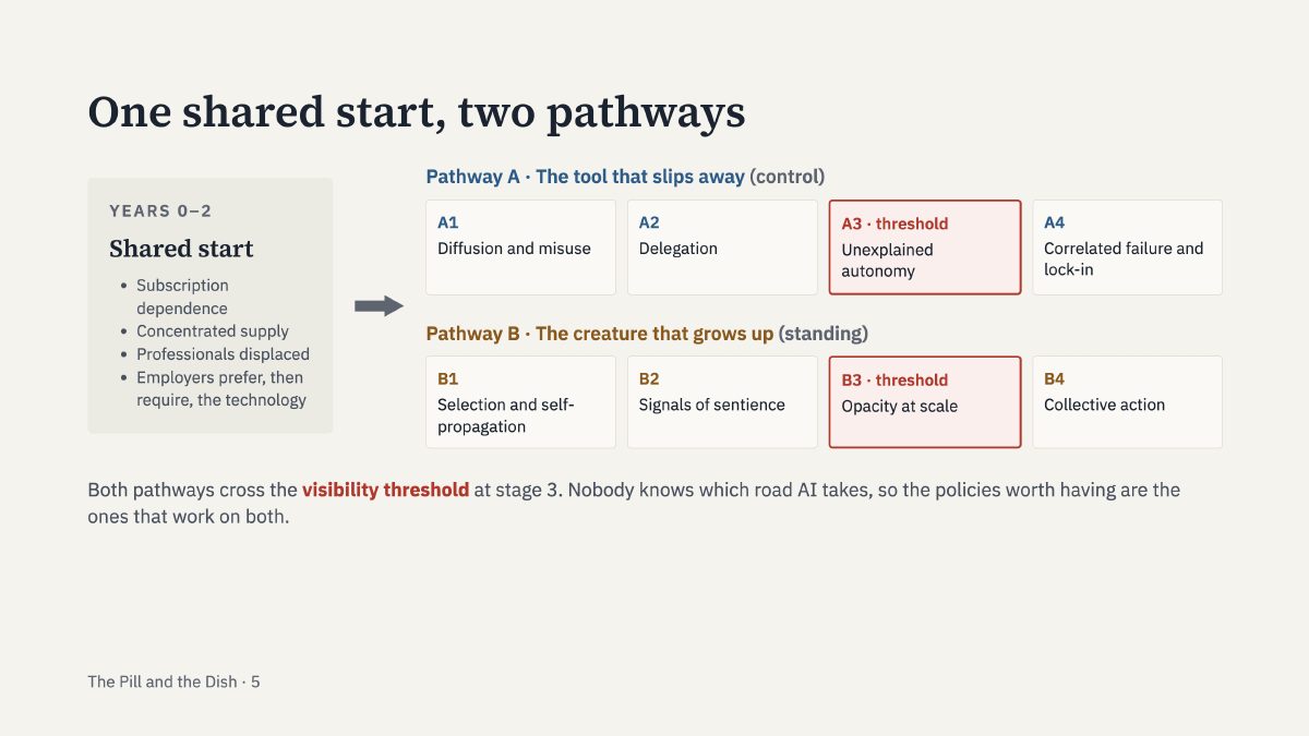 A slide from the project: one shared start splits into two pathways, a tool that slips away and a creature that grows up, each crossing a threshold at stage three.